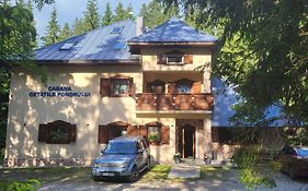 Cabana Cetatile Ponorului - Padis Premium Lodge